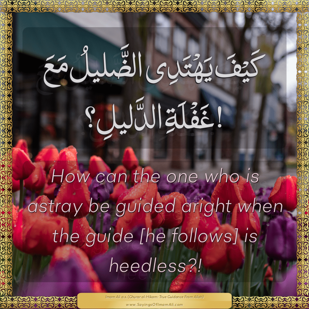 How can the one who is astray be guided aright when the guide [he follows]...